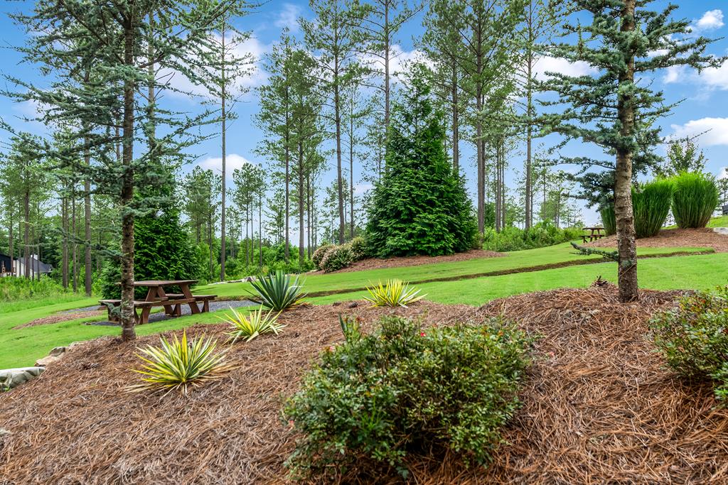 LT 269 River View Trail