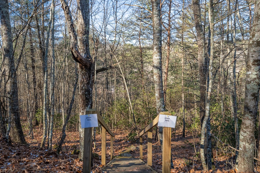 517 Ridge Road, Blue Ridge