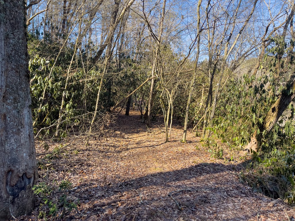 517 Ridge Road, Blue Ridge