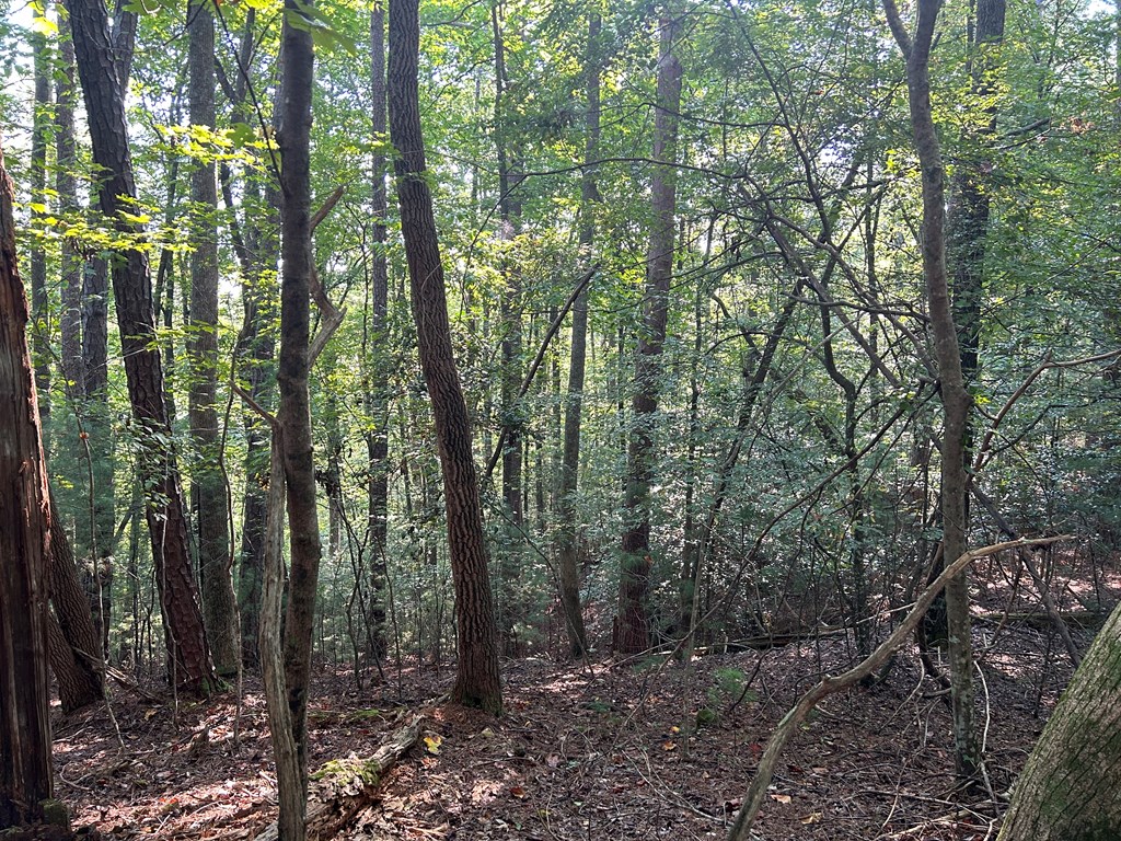 LT 1199 Lancer Court, Ellijay