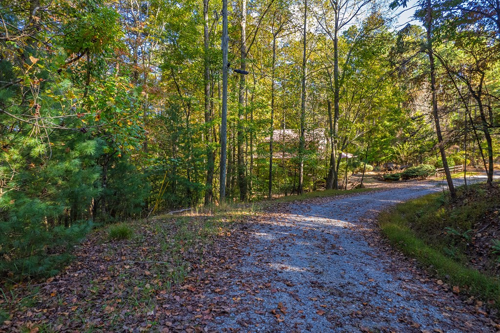 LT 1199 Lancer Court, Ellijay