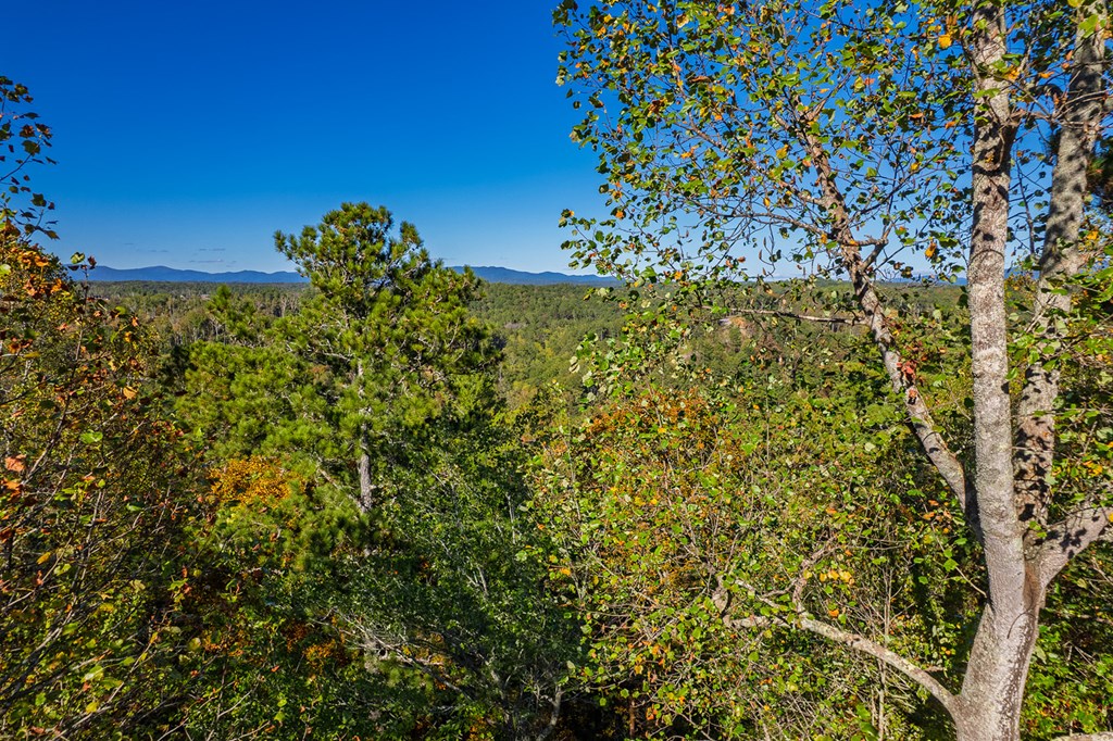 LT 1199 Lancer Court, Ellijay