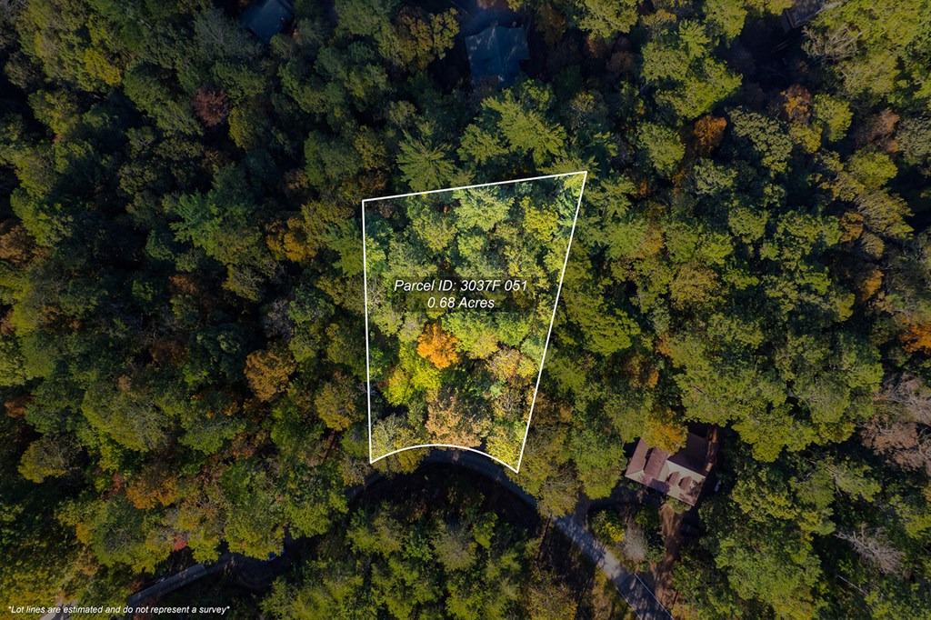 LT 1199 Lancer Court, Ellijay