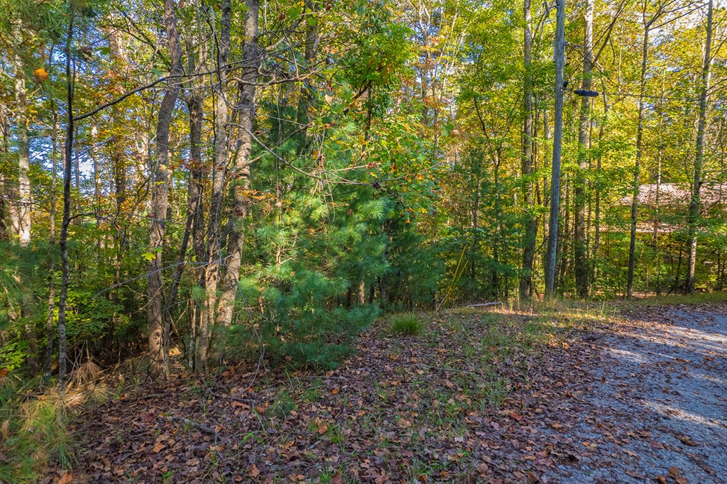 LT 1199 Lancer Court, Ellijay