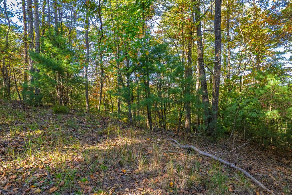 LT 1199 Lancer Court, Ellijay