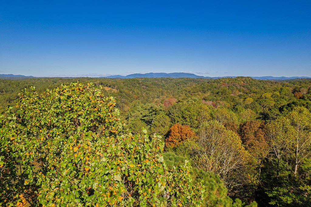 LT 1199 Lancer Court, Ellijay