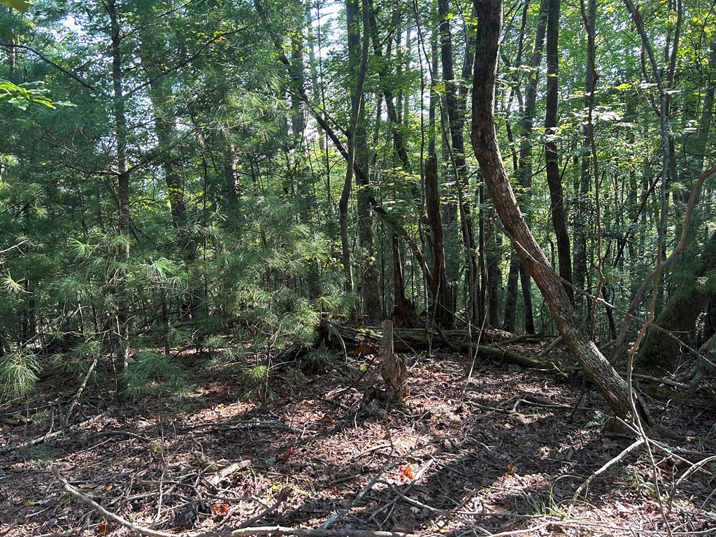 LT 1199 Lancer Court, Ellijay