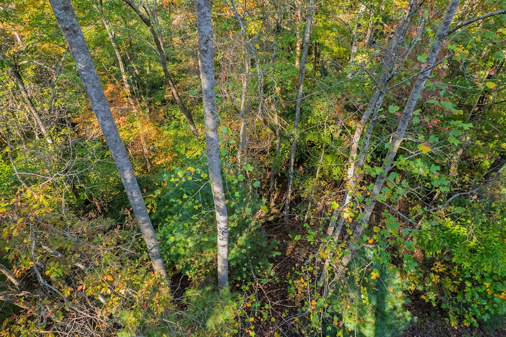 LT 1199 Lancer Court, Ellijay