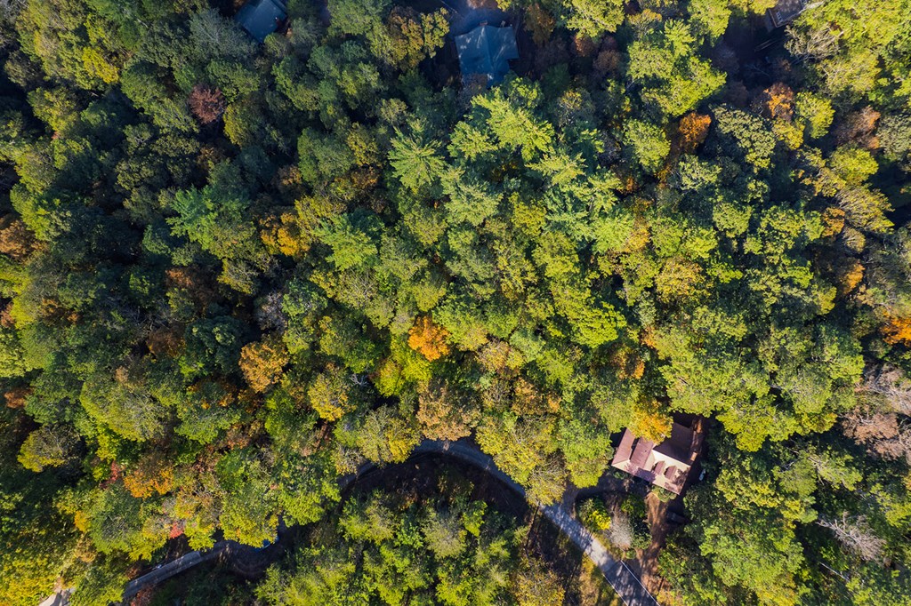 LT 1199 Lancer Court, Ellijay