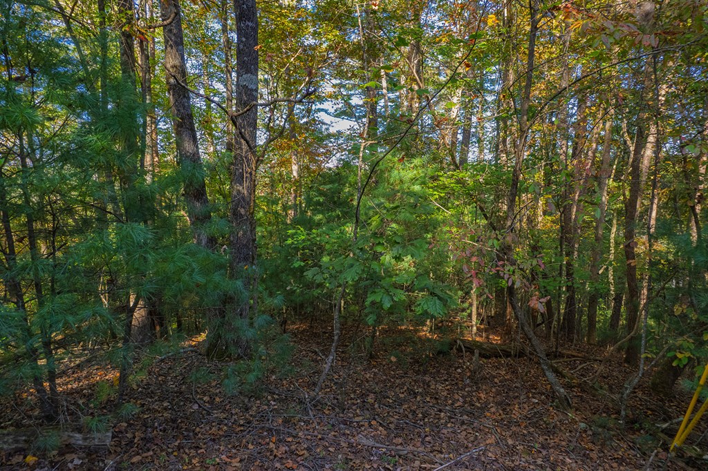 LT 1199 Lancer Court, Ellijay