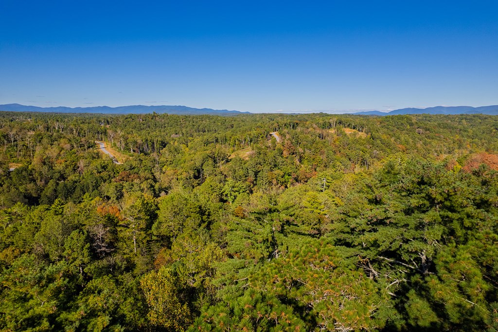 LT 1199 Lancer Court, Ellijay