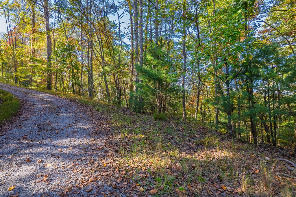 LT 1199 Lancer Court, Ellijay