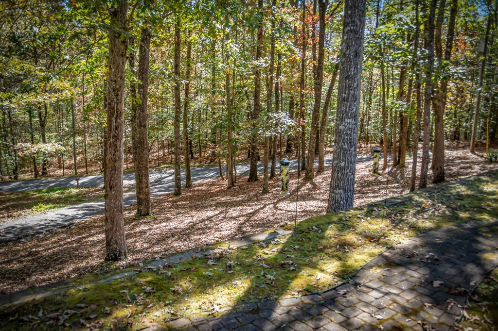 224 Timber Ridge Lane, Ellijay