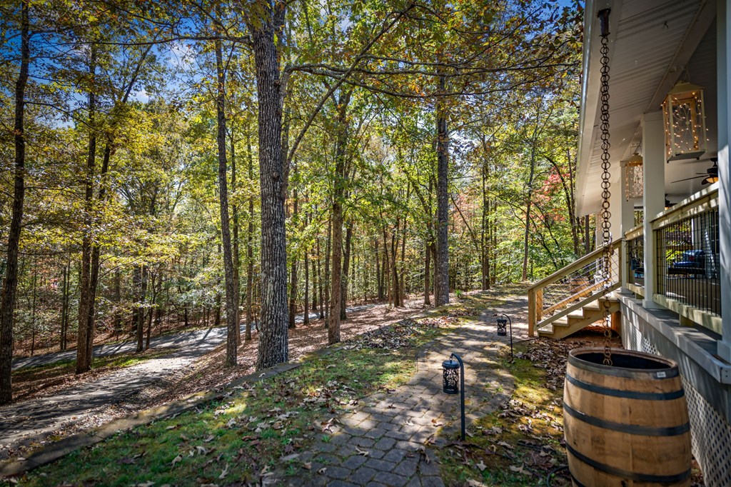 224 Timber Ridge Lane, Ellijay