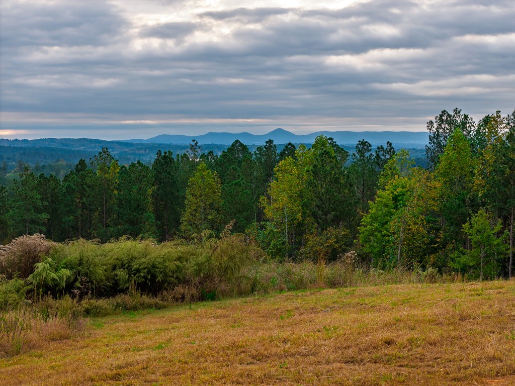 Lot 224 West Vista Ridge Parkway, Talking Rock