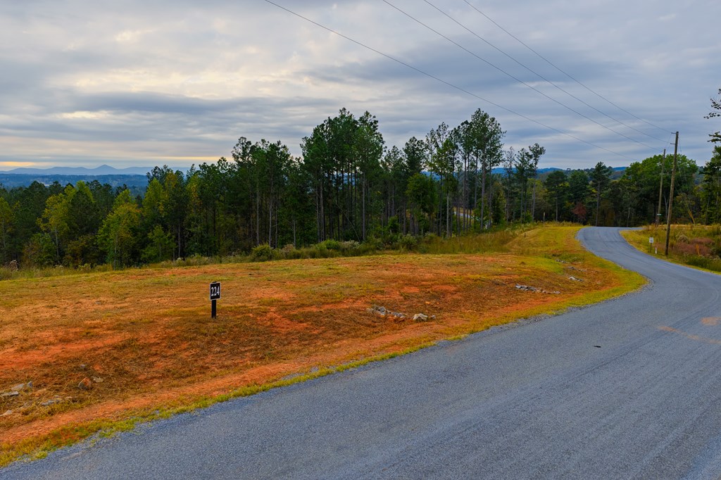 Lot 224 West Vista Ridge Parkway, Talking Rock