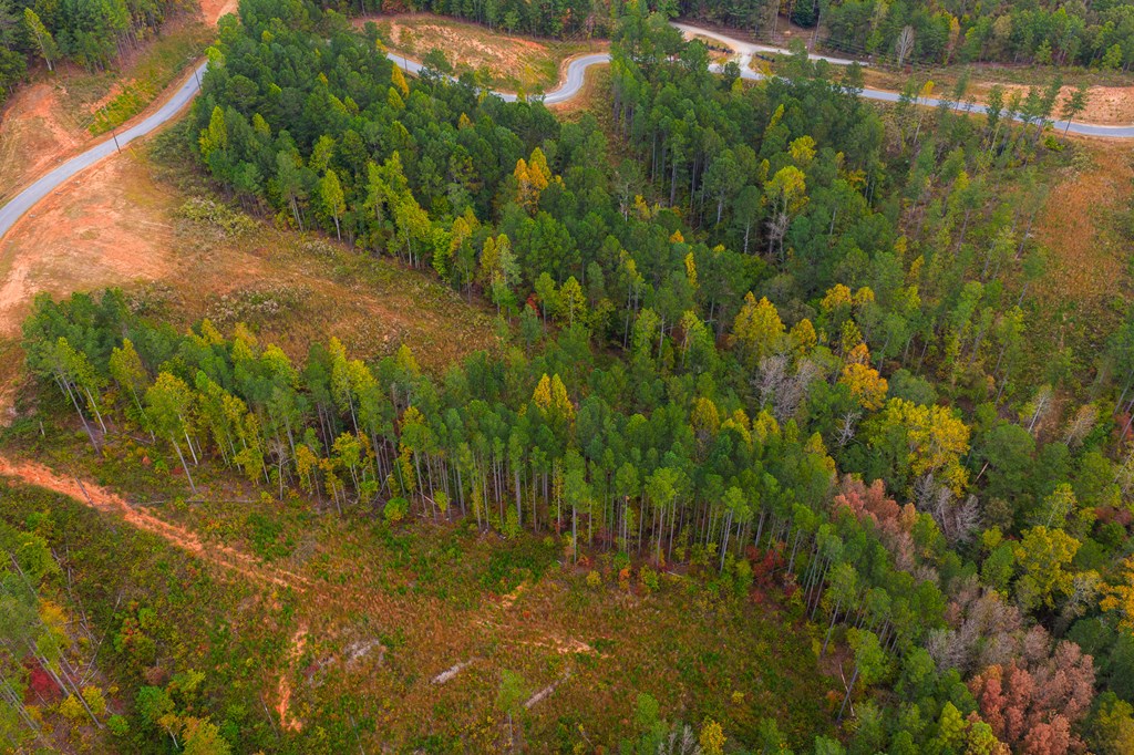 Lot 224 West Vista Ridge Parkway, Talking Rock