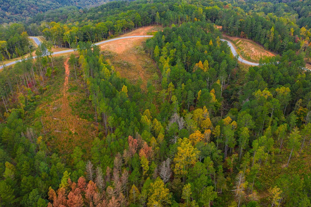 Lot 224 West Vista Ridge Parkway, Talking Rock