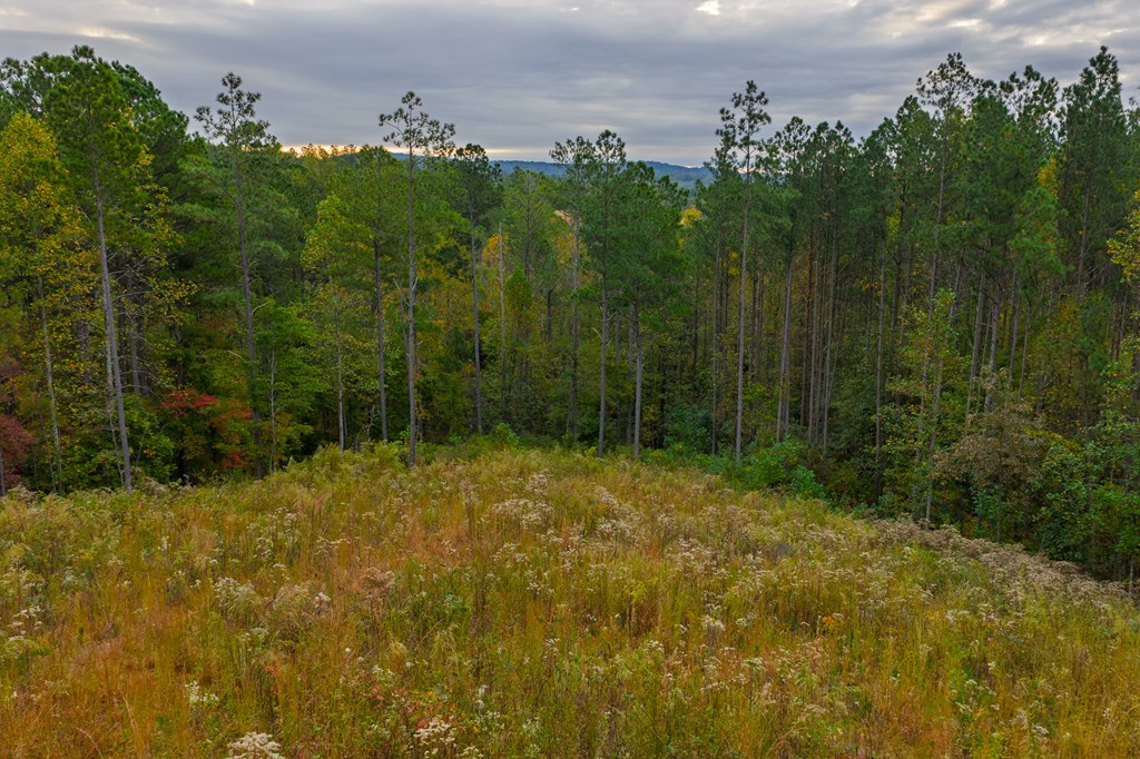 Lot 224 West Vista Ridge Parkway, Talking Rock