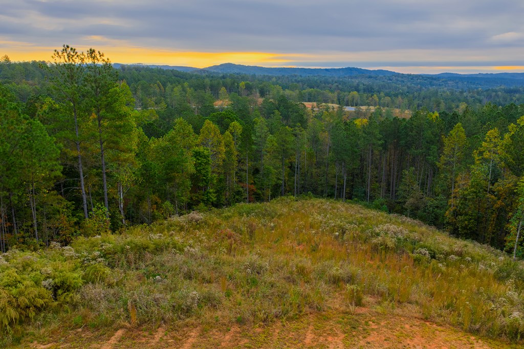 Lot 224 West Vista Ridge Parkway, Talking Rock