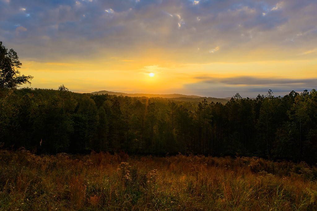 Lot 224 West Vista Ridge Parkway, Talking Rock