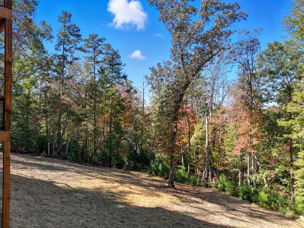 180 Tara Drive, Ellijay