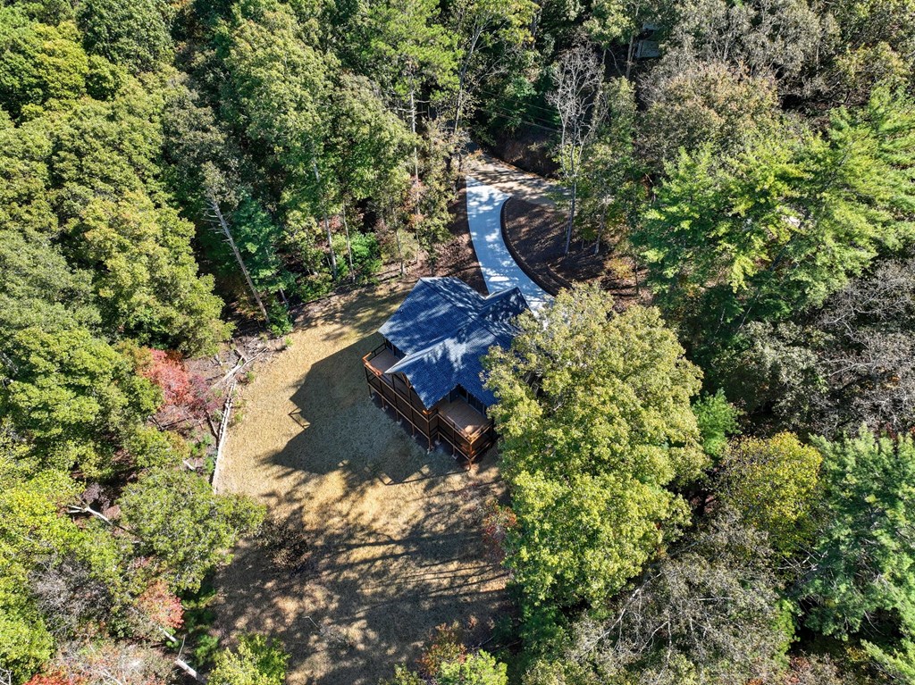 180 Tara Drive, Ellijay