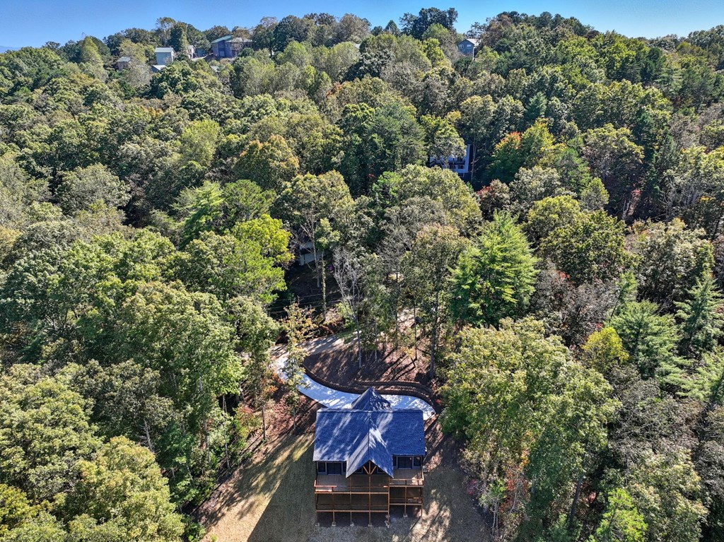 180 Tara Drive, Ellijay