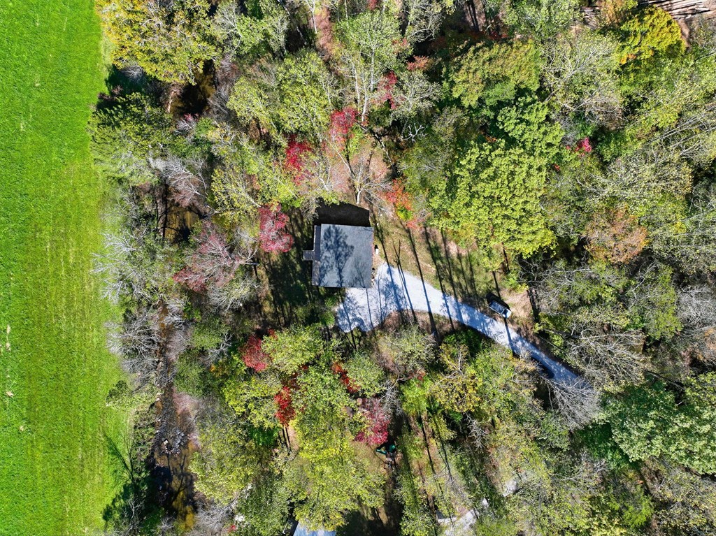 444 Weaver Road, Ellijay