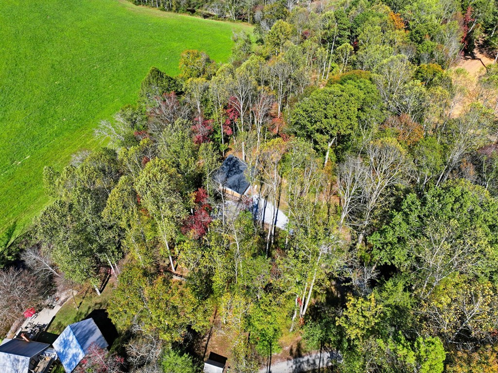 444 Weaver Road, Ellijay