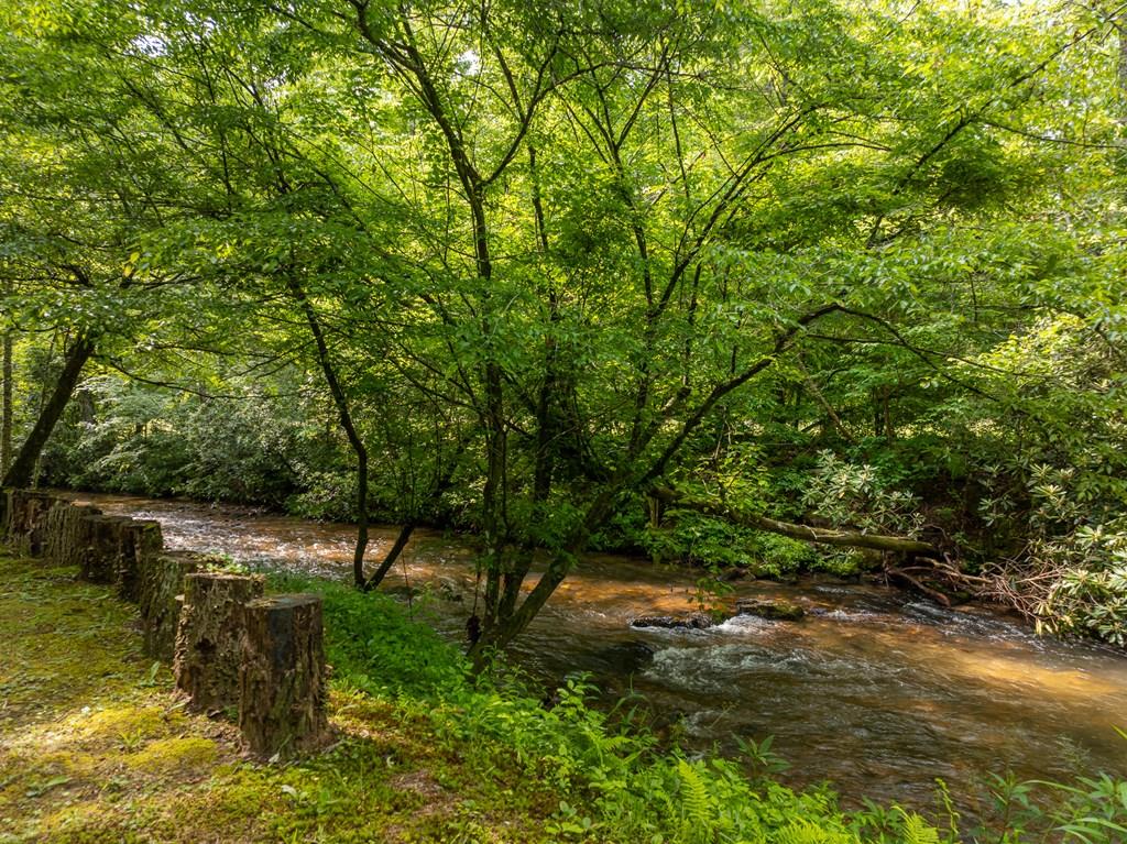 686 Laurel Hill Lane, Ellijay