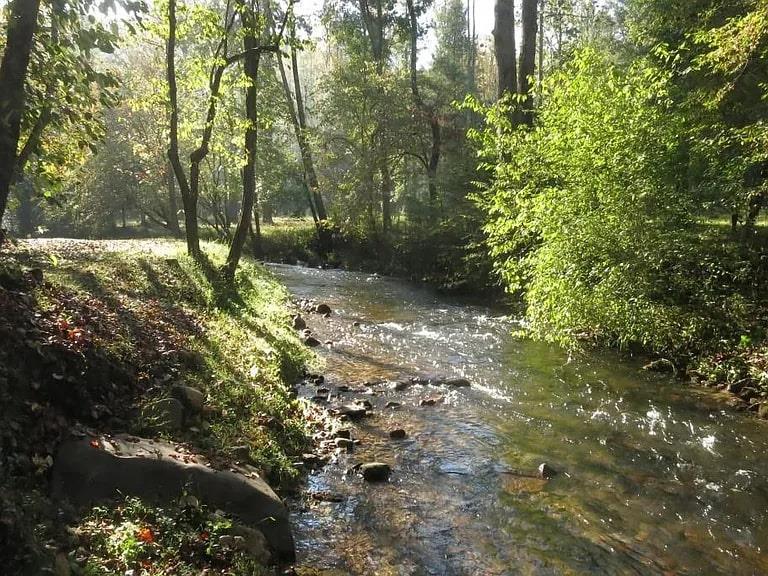 686 Laurel Hill Lane, Ellijay