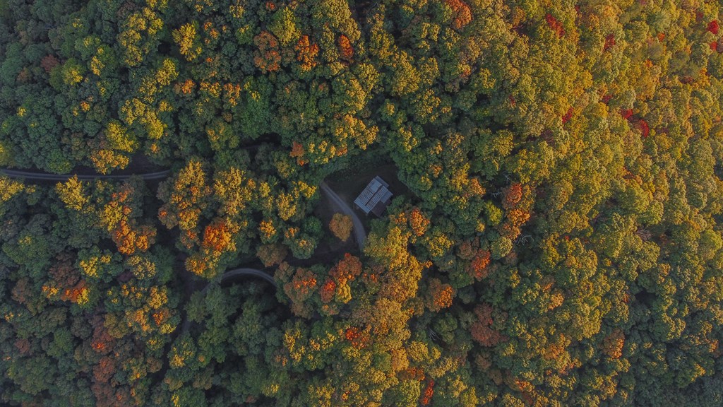 686 Laurel Hill Lane, Ellijay