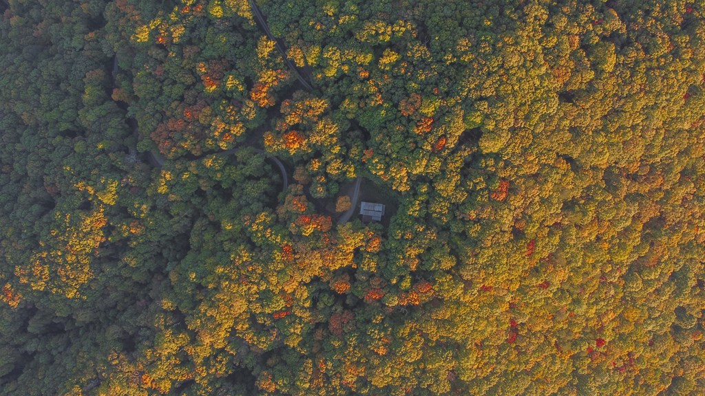 686 Laurel Hill Lane, Ellijay