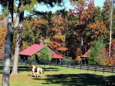 686 Laurel Hill Lane, Ellijay