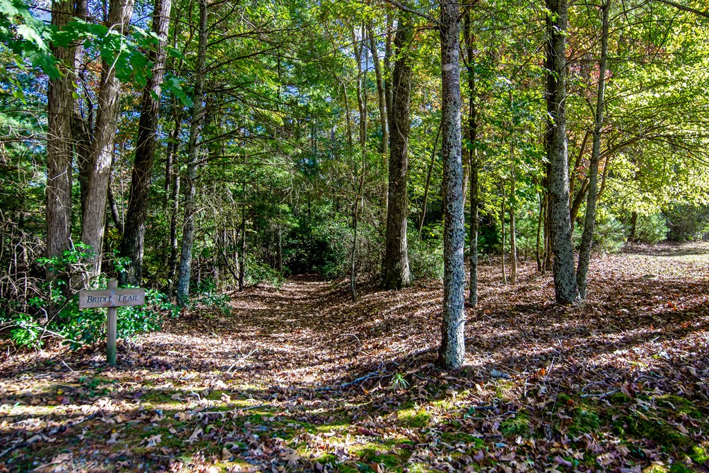 686 Laurel Hill Lane, Ellijay