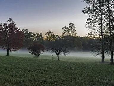 686 Laurel Hill Lane, Ellijay