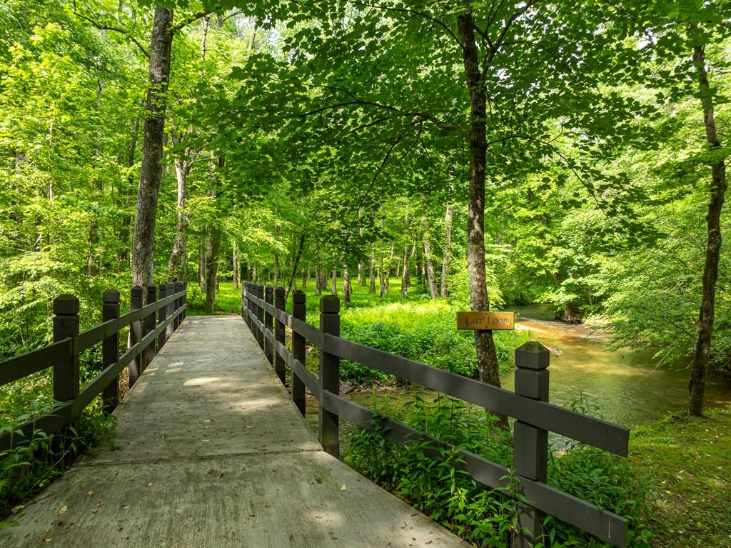 686 Laurel Hill Lane, Ellijay