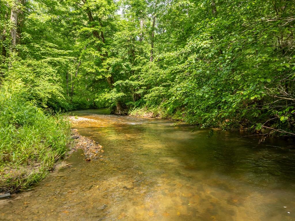 686 Laurel Hill Lane, Ellijay