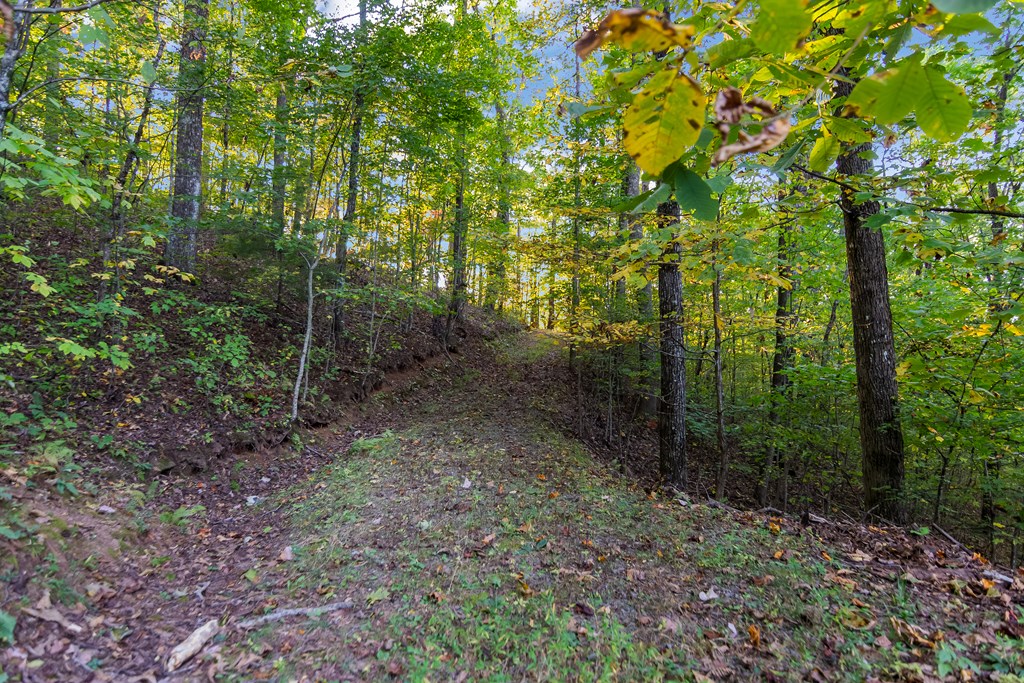 686 Laurel Hill Lane, Ellijay