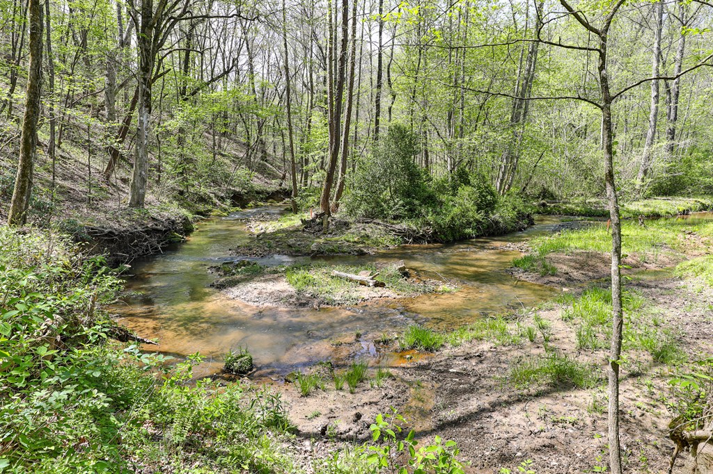 2001 Big Creek Road, Ellijay