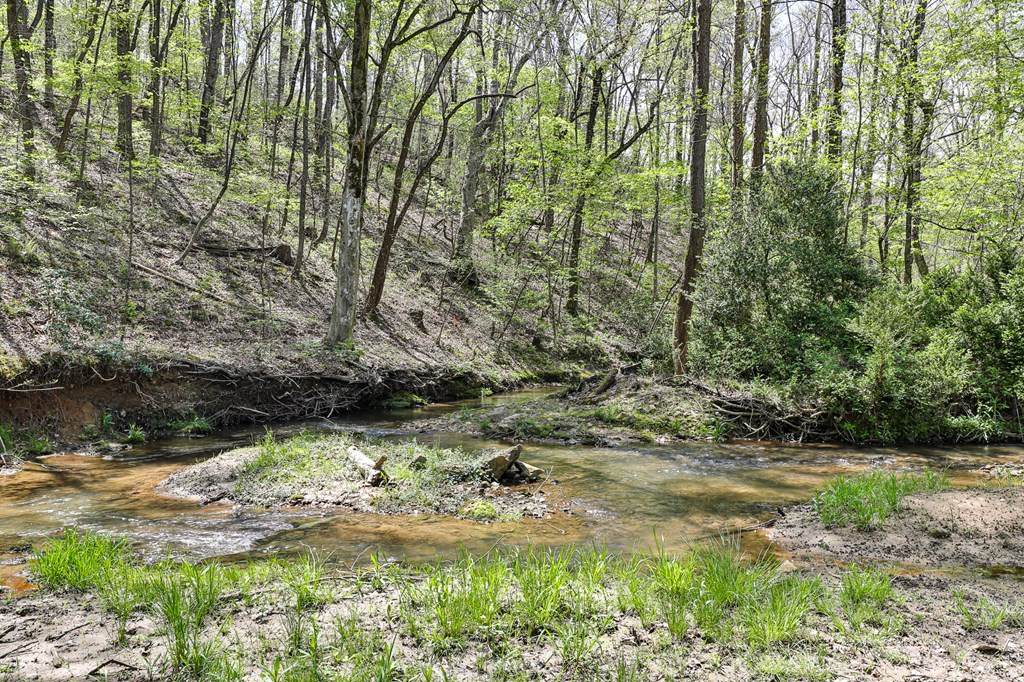 2001 Big Creek Road, Ellijay