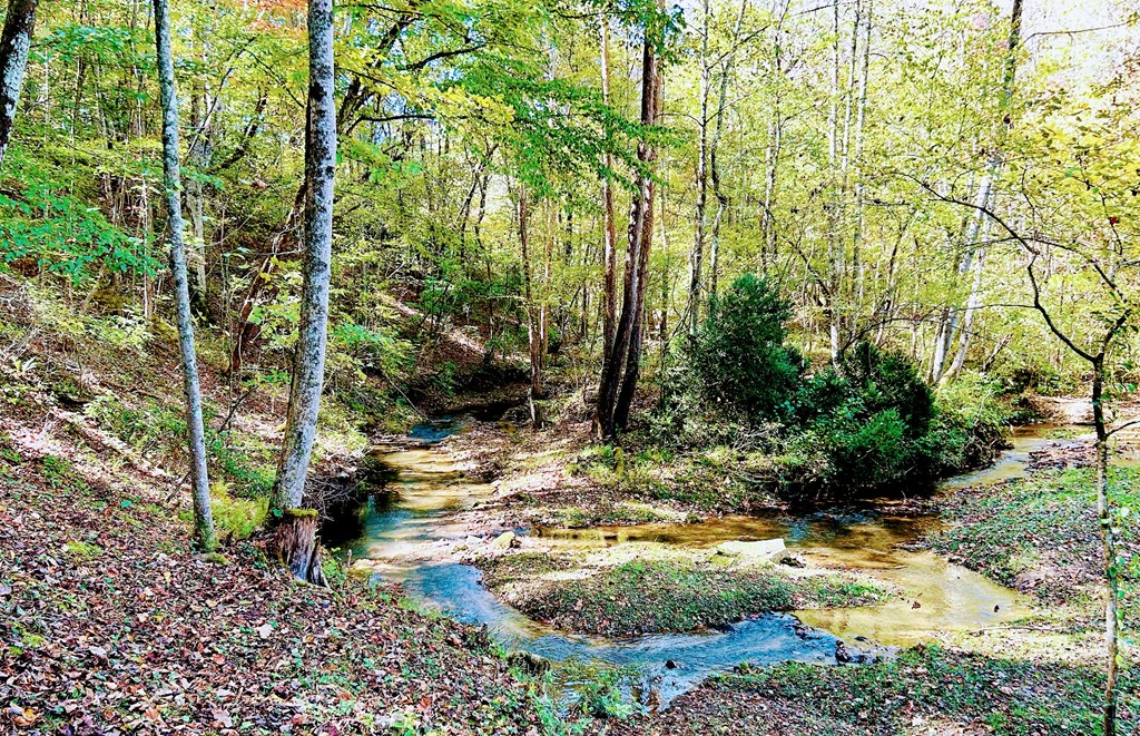 2001 Big Creek Road, Ellijay