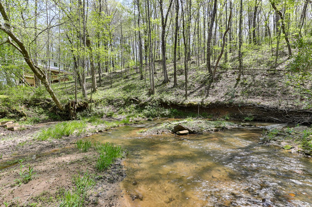 2001 Big Creek Road, Ellijay