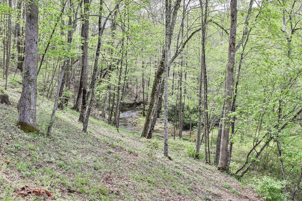 2001 Big Creek Road, Ellijay