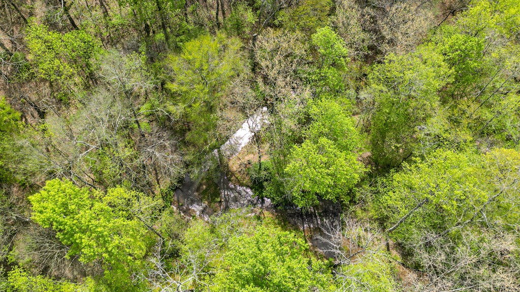 2001 Big Creek Road, Ellijay