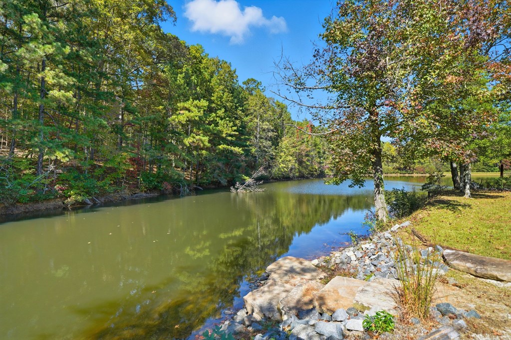 201 Talona Lake Terrace, Ellijay