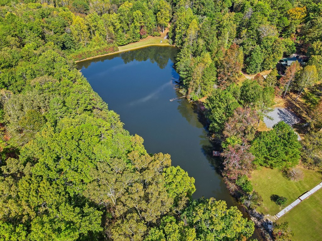 201 Talona Lake Terrace, Ellijay