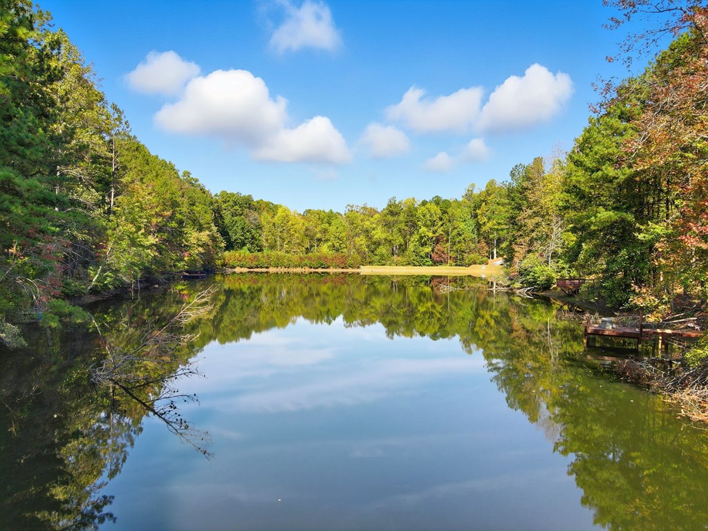 201 Talona Lake Terrace, Ellijay