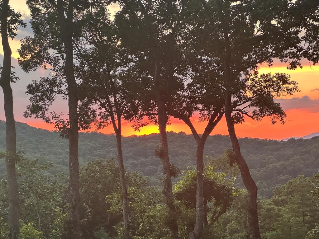 462 Tanager Trail, Ellijay